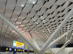 -郑州新郑国际机场-T2航站楼