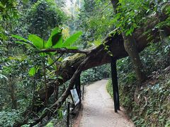 -中国科学院西双版纳热带植物园