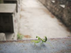 -碓臼峪自然风景区