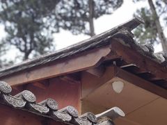 -寂照庵