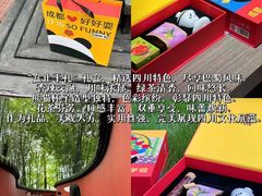 -成都大熊猫繁育研究基地
