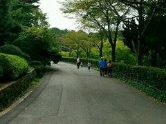 -汉拿树木园