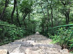 -老象峰