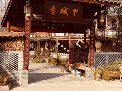 -青城甲(青城山店)