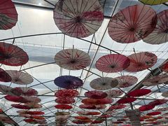 -广东花都香草世界旅游度假区