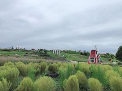 -空港花田景区