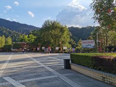 -江西阳明山国家森林公园