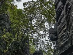 -梭布垭石林景区