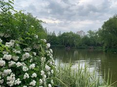 -济南大明湖景区