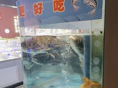 -鸽子侯·家宴·平价海鲜(市图书馆店)