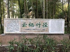 -西湖风景区十里琅珰-五云山