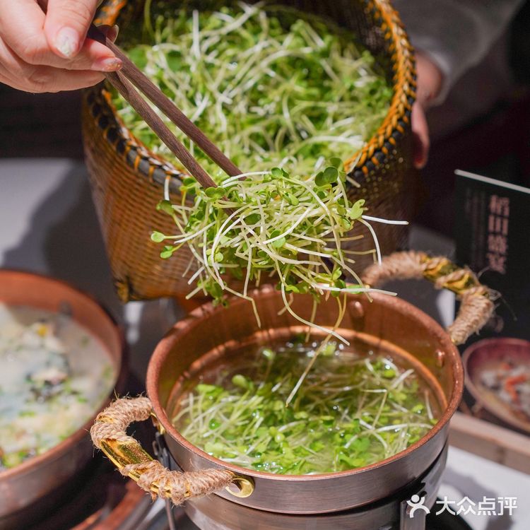 湘颂·稻田里的盛宴,邀你品味地道传统湖南美食🍲✨