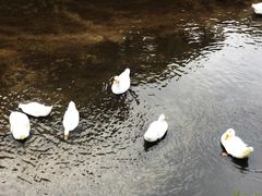 -北京水岸山吧度假村(雁栖镇店)
