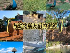 -昆明动物园