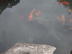 -南湾湖