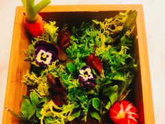 朱迪的菜园-烛影拾光观景餐厅·创意菜·摄影·小提琴(大唐不夜城店)