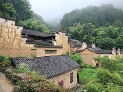 -杨家堂村