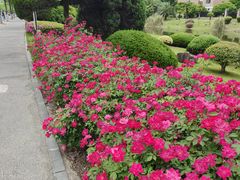 -浙江大学(紫金港校区)