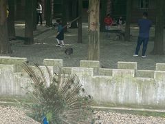 -南京金牛湖风景区