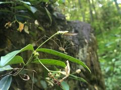 -溪口-滕头旅游景区