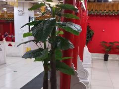 -芦月轩羊蝎子(太平桥店)