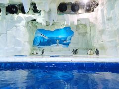 -华夏文旅海洋公园