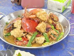 -金螃蟹