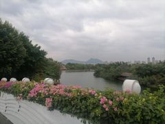 -厦门园林博览苑