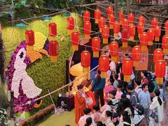 -正佳雨林生态植物园
