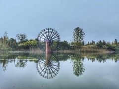 -泗洪洪泽湖湿地景区