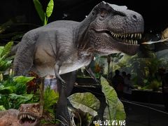 -遇见博物馆(遇见海洋沉浸式奇幻光影展)