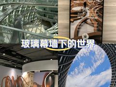 -凤凰中心