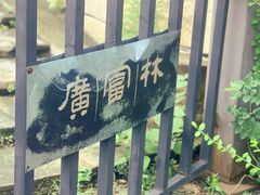 -广富林郊野公园