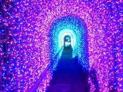 -别府杉乃井酒店