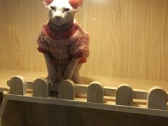 -仄园围炉坊·牛肉火锅·潮汕卤水火锅(蛇口店)