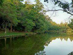 -番禺大夫山森林公园