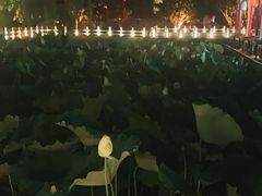 -济南大明湖景区