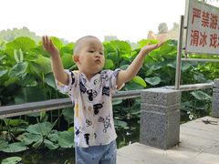 -裕华世纪公园