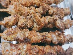 -民族烤羊·烤羊肉串·烤羊排(南城店)