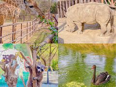 -济南野生动物世界