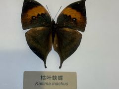 -中国湿地博物馆
