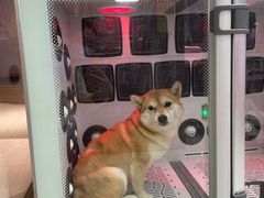 -FAELING PETS美天灵宠物(富力广场店)