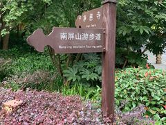 -九曜山