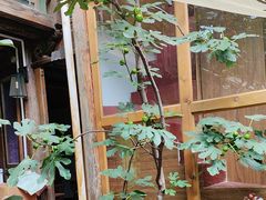 -吃货私房菜(丽江束河古镇店)