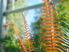 -国家植物园南园