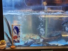 水产区-九洲喜来登酒店湖月日餐厅