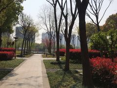 -南翔镇银翔湖公园