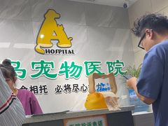 -半岛宠物医院24小时(白果林店)