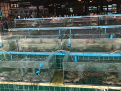 -拉威海鲜市场