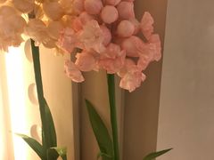 -晶雅花园西餐厅(南京首店)